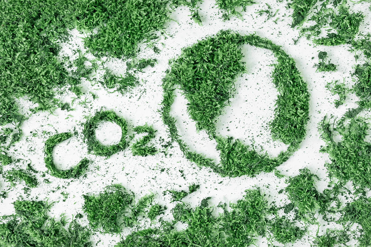 CO 2 TH!NK article