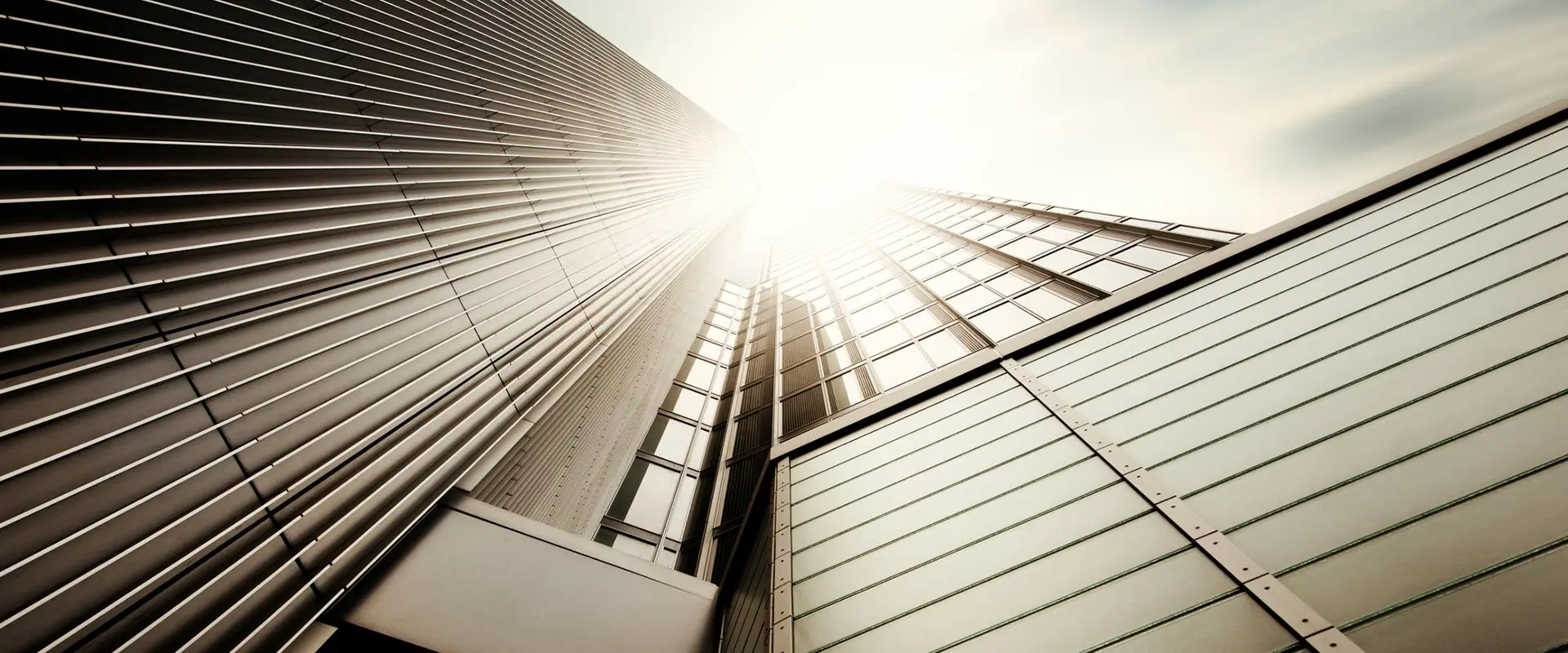 offering consultancy